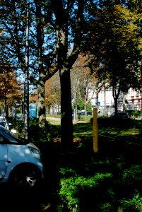Ffm Hamburger Allee 35