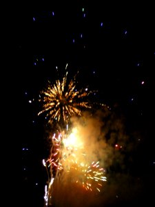 Festifolies 2011 36
