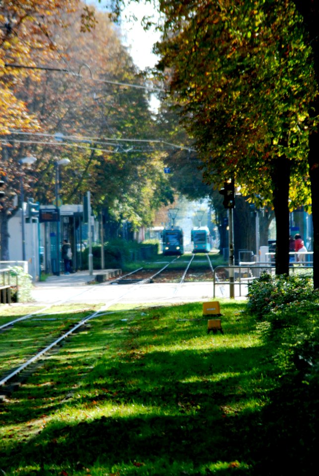 Ffm Hamburger Allee 39