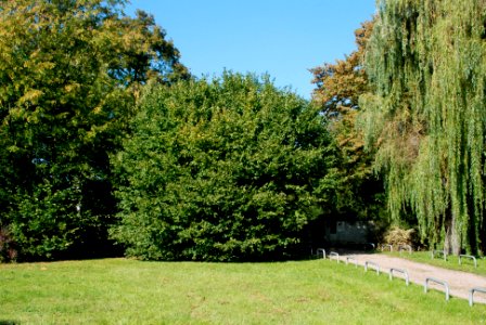 Ffm Hausen 43