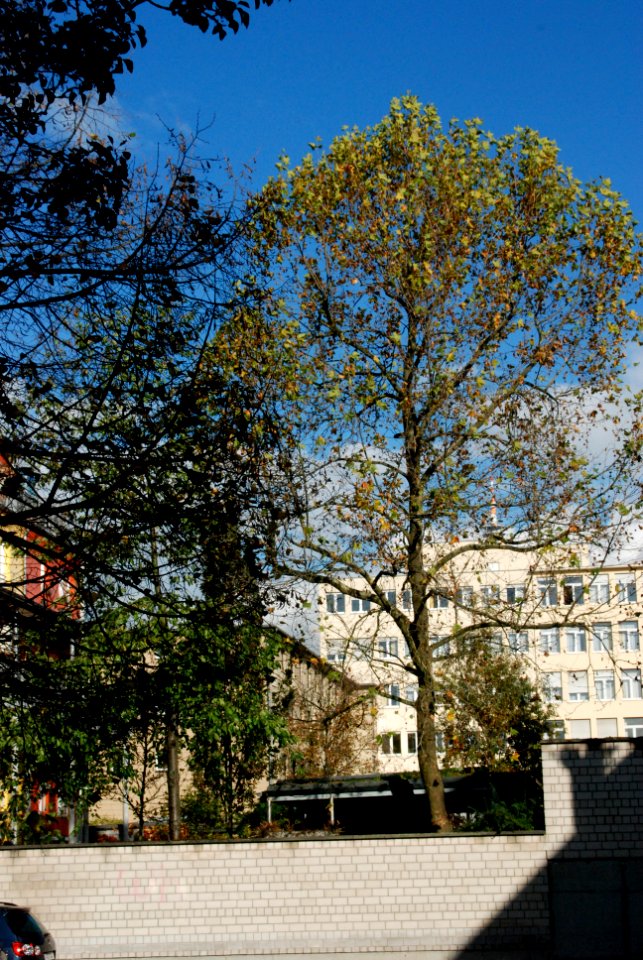 Ffm Häusergasse 44