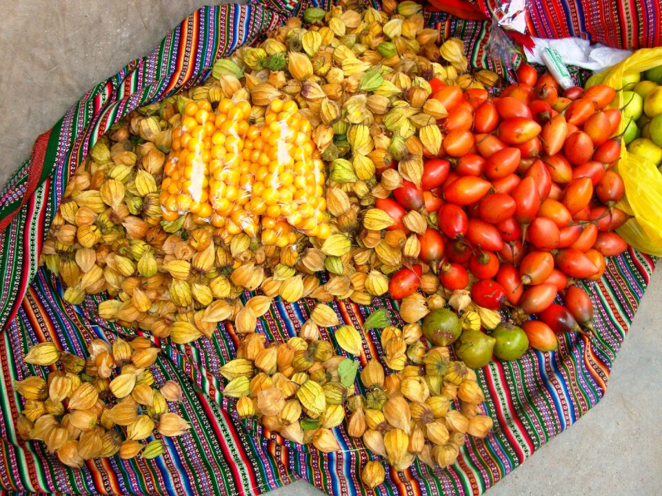 Biodiversidad cajamarca perú