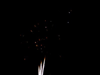 Festifolies 2011 24