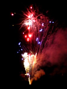 Festifolies 2011 34