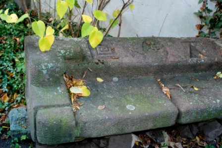 Ffm Häusergasse 61