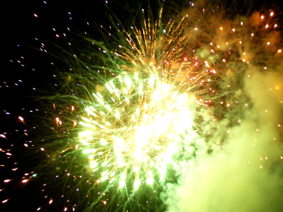 Festifolies 2011 38