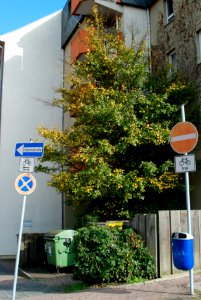 Ffm Häusergasse 27