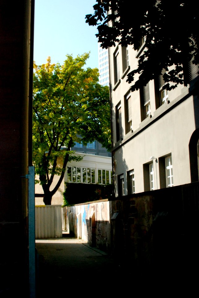 Ffm Hamburger Allee 67