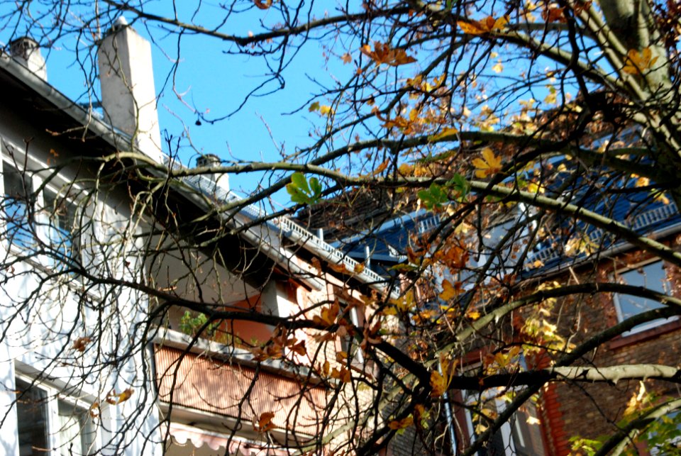 Ffm Häusergasse 73