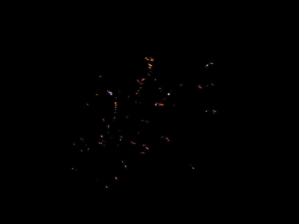 Festifolies 2011 25