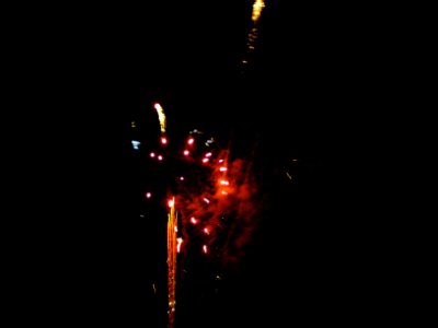 Festifolies 2011 28