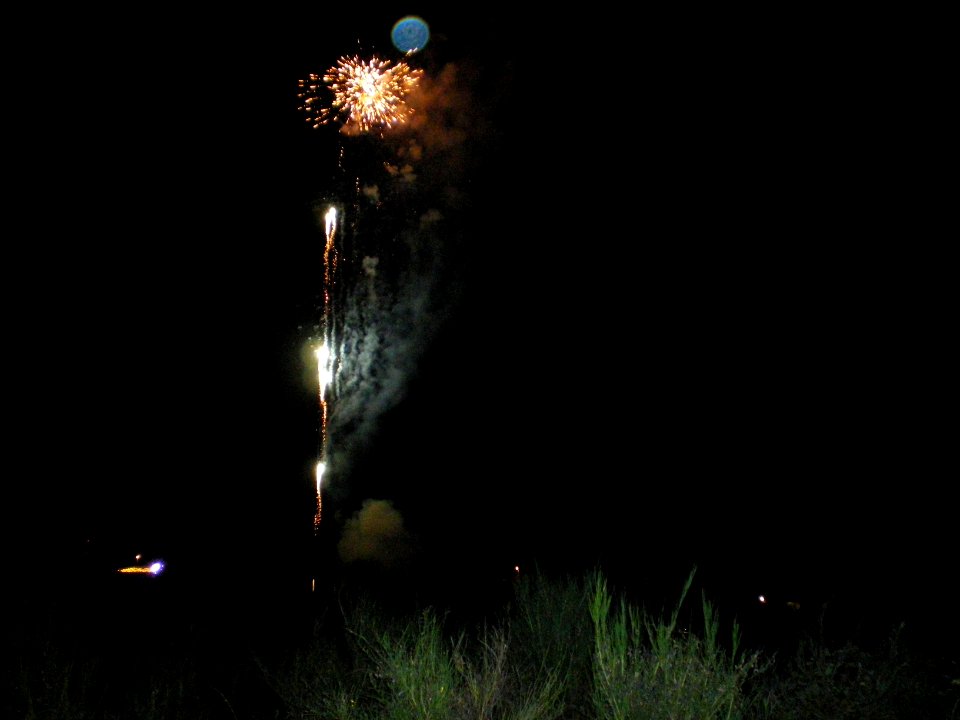 Festifolies 2011 43
