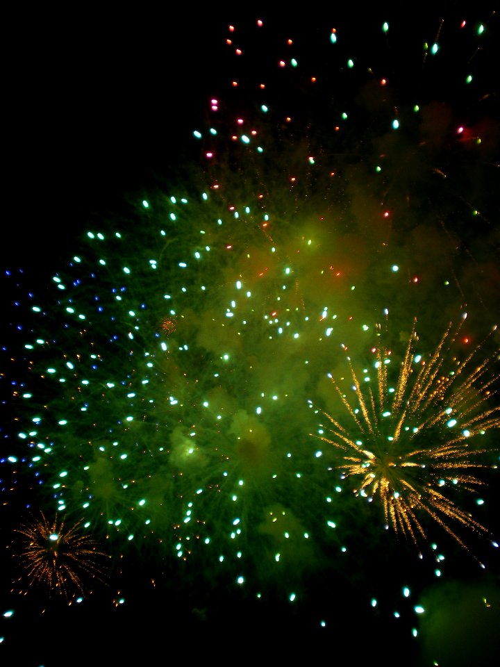 Festifolies 2011 41