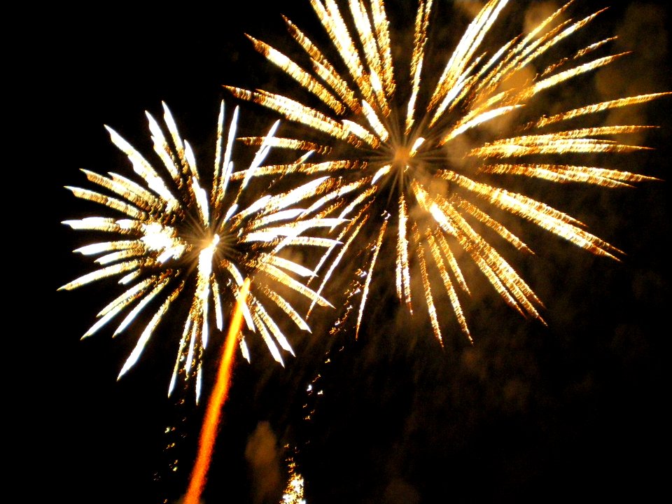 Festifolies 2011 32