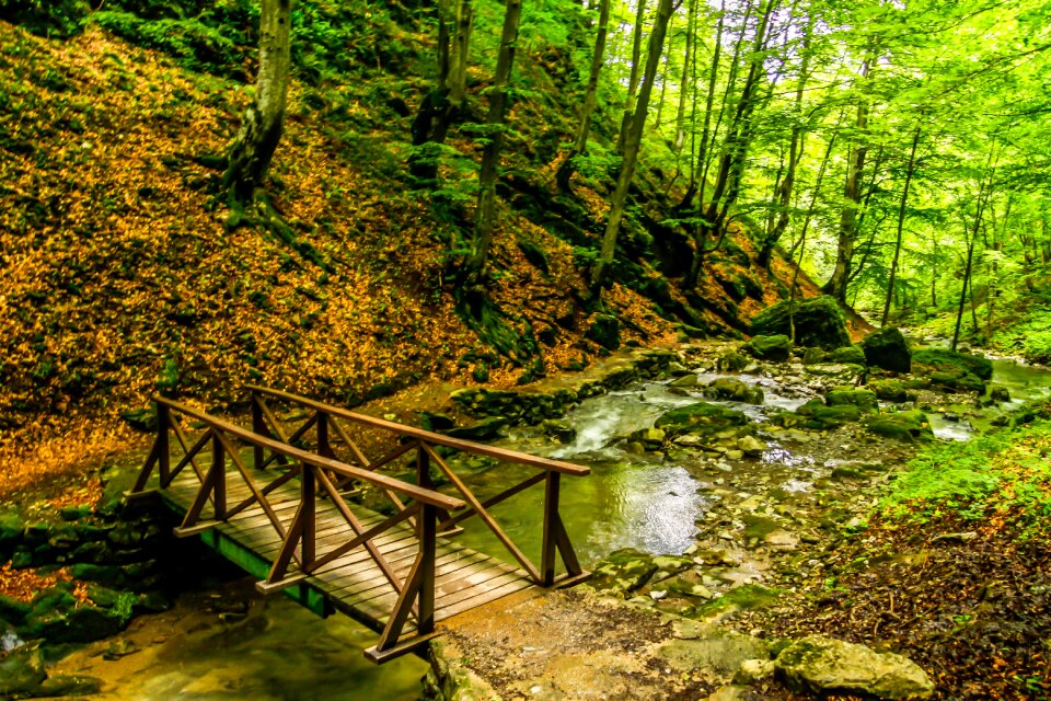 Tourism mountain vacation