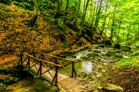 Tourism mountain vacation