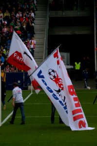 FC Red Bull Salzburg v SV Ried 17