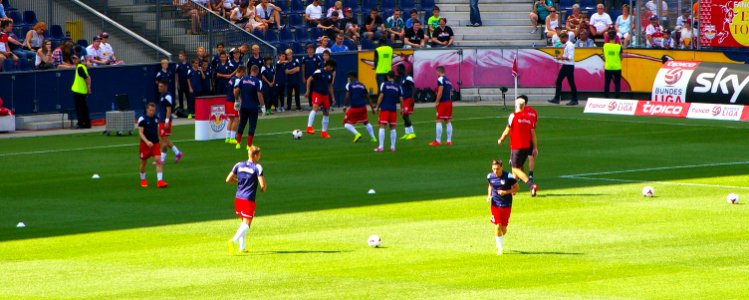 FC Red Bull Salzburg gegen SK Rapid Wien (19. Juli 2014) 20