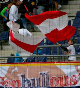 FC Red Bull Salzburg gegen SCR Altach 15