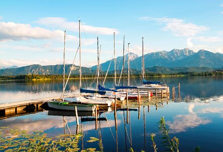 Sailing boats sail water photo