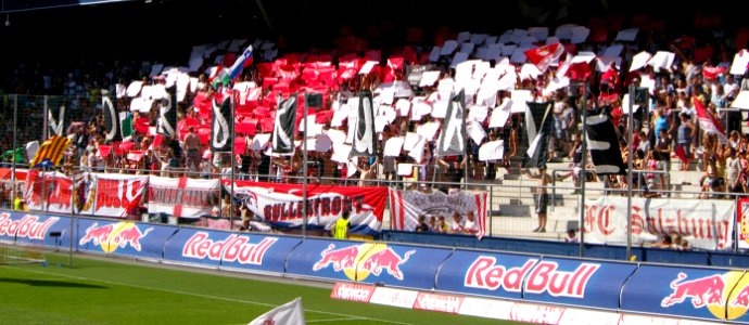 FC Red Bull Salzburg gegen SK Rapid Wien (19. Juli 2014) 41