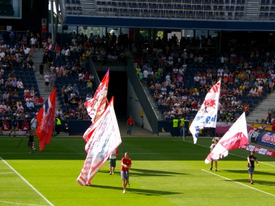 FC Red Bull Salzburg gegen SK Rapid Wien (19. Juli 2014) 34