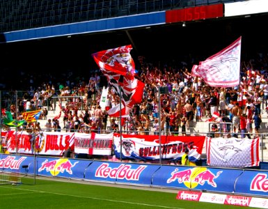 FC Red Bull Salzburg gegen SK Rapid Wien (19. Juli 2014) 17