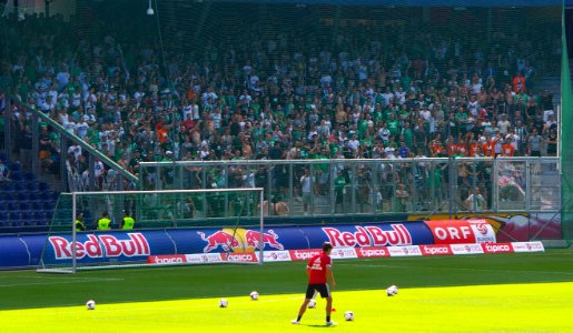 FC Red Bull Salzburg gegen SK Rapid Wien (19. Juli 2014) 16