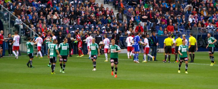 FC Red Bull Salzburg v SV Ried 20
