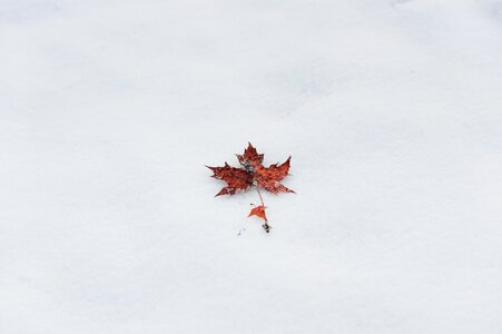 Simple ppt backgrounds mobile wallpapers