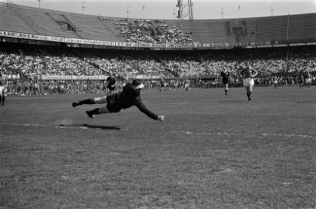Feijenoord tegen Fortuna 54 , keeper Vogels (Fortuna) in actie, Bestanddeelnr 915-2186