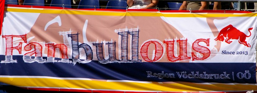 FC Red Bull Salzburg gegen SK Rapid Wien (19. Juli 2014) 27
