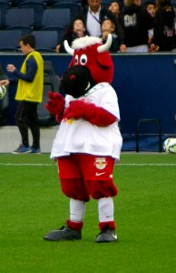 FC Red Bull Salzburg gegen SCR Altach 41