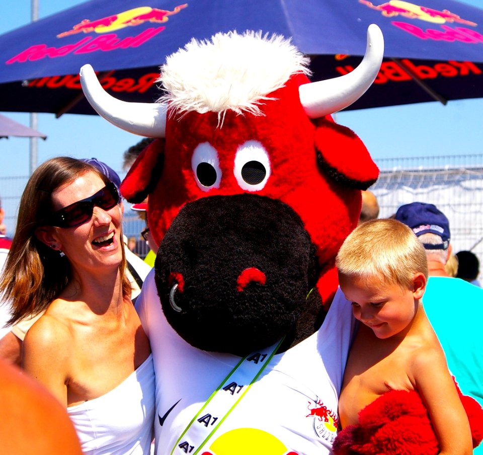 FC Red Bull Salzburg gegen SK Rapid Wien (19. Juli 2014) 02