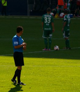 FC Red Bull Salzburg gegen SK Rapid Wien (19. 7. 2014) 34