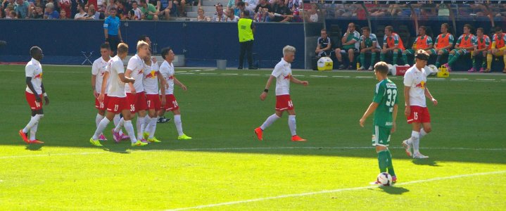 FC Red Bull Salzburg gegen SK Rapid Wien (19. 7. 2014) 20