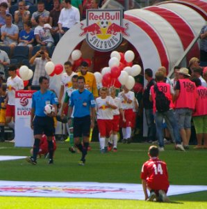 FC Red Bull Salzburg gegen SK Rapid Wien (19. Juli 2014) 39