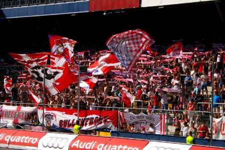 FC Red Bull Salzburg gegen SK Rapid Wien (19. 7. 2014) 22
