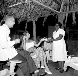 Feestend gezelschap in een hut, Bestanddeelnr 252-3097