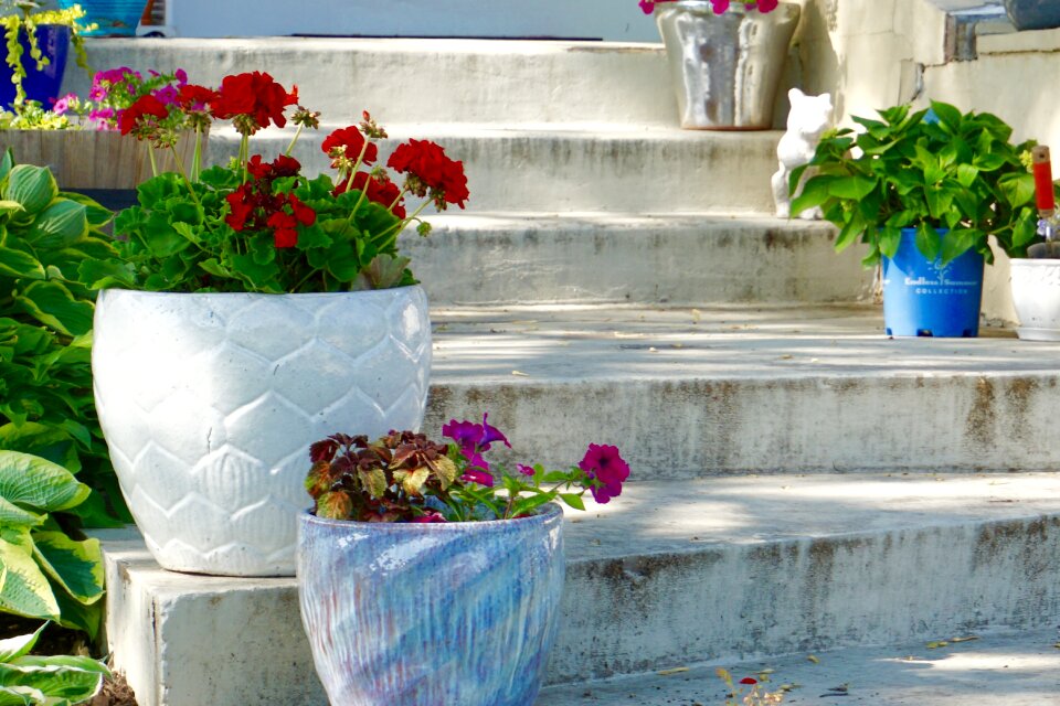 Flower pots steps garden