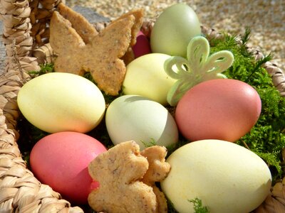 Cookie easter bunny butterflies
