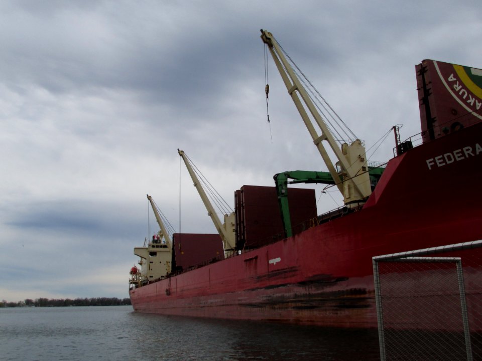 Federal Sakura at Jarvis Slip 03