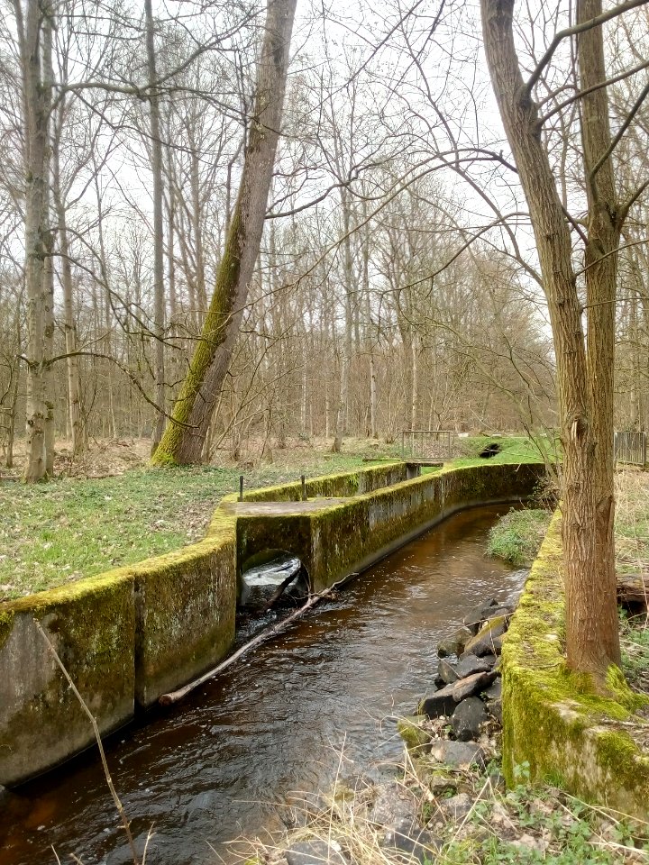 Federbach, Abzweig des Haftgrabens