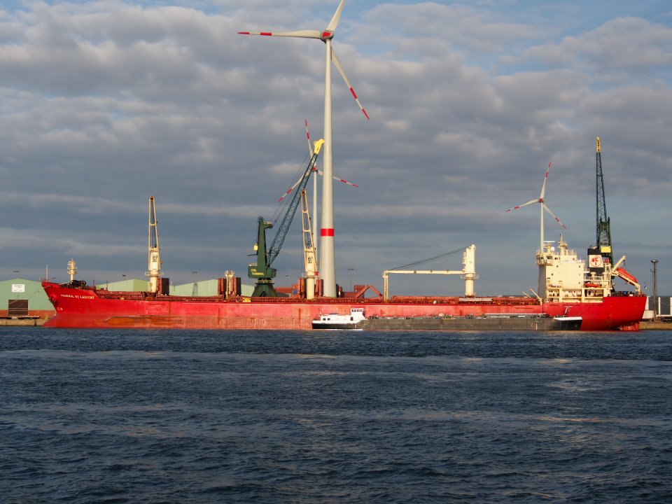Federal St Laurent (ship, 1996) - IMO 9110896 - Callsign 8PNN, Port of Antwerp