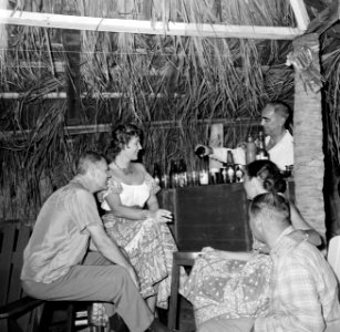 Feestend gezelschap in een hut, Bestanddeelnr 252-3091