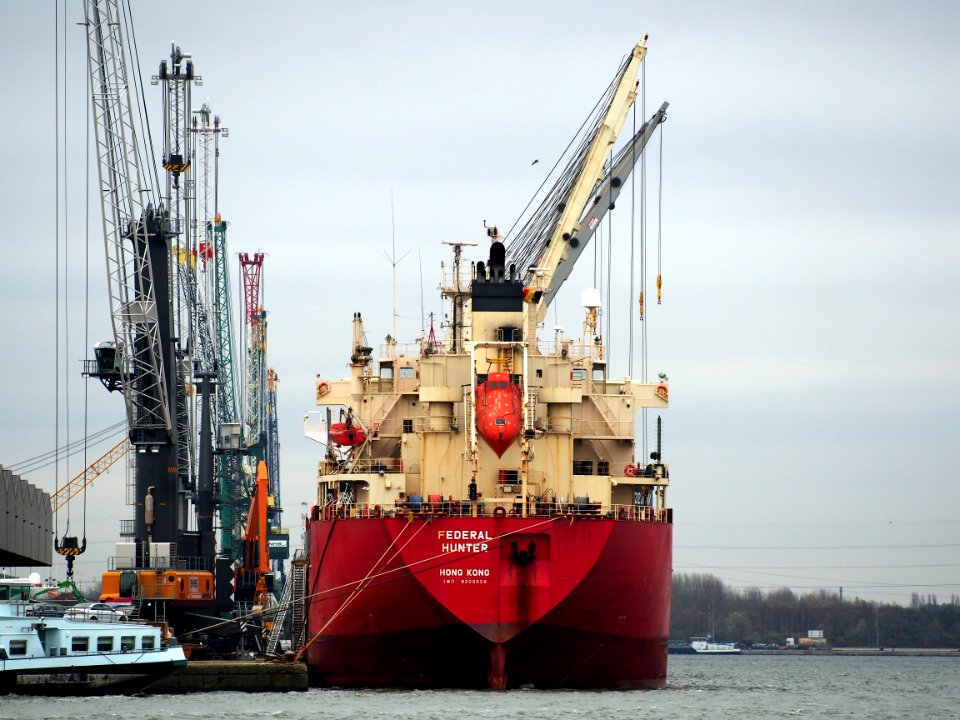 Federal Hunter (ship, 2001), IMO 9205938, Port of Antwerp