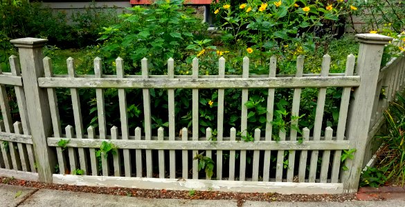 Fence - Arlington, MA - 20200715 093121
