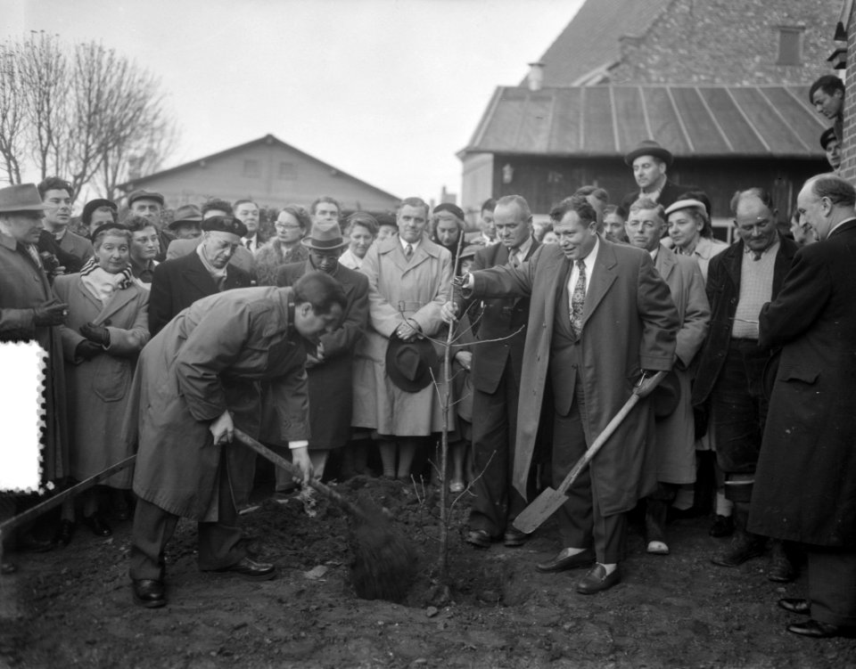 Federatie van oorlogsveteranen bezoekt Schouwen Duiveland, Bestanddeelnr 906-1206