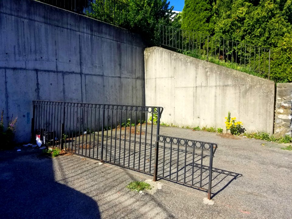 Fence - Arlington, MA - 20200729 083339
