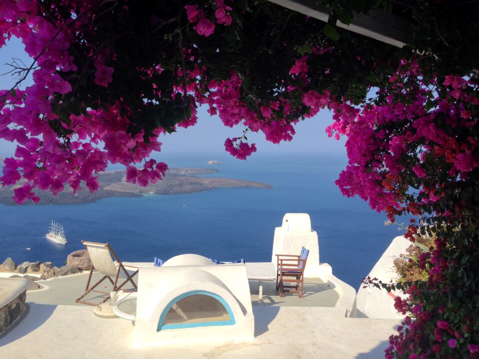Flowers blue travel